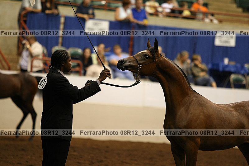 Proof 08r12_3244