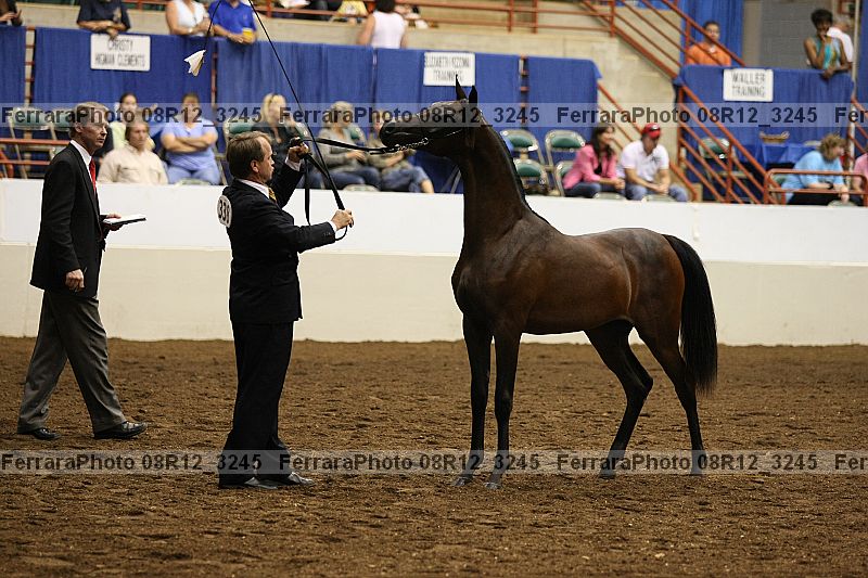 Proof 08r12_3245