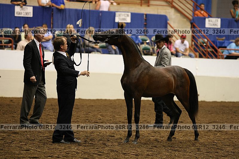 Proof 08r12_3246