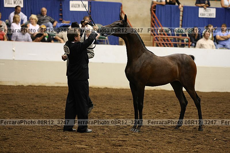Proof 08r12_3247