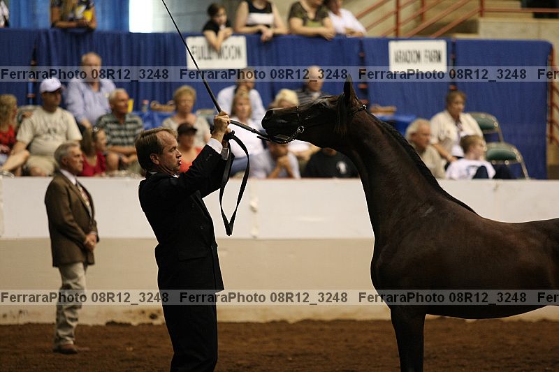 Proof 08r12_3248