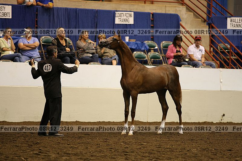 Proof 08r12_3249