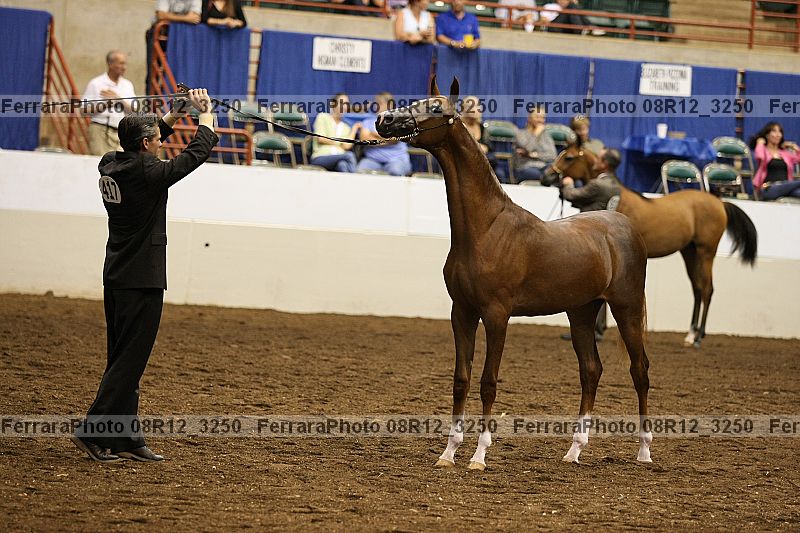 Proof 08r12_3250