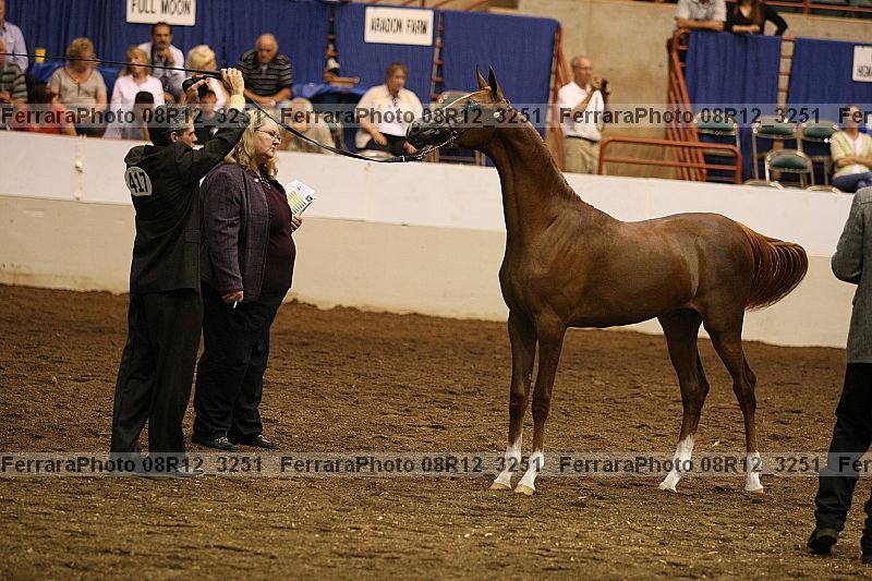 Proof 08r12_3251