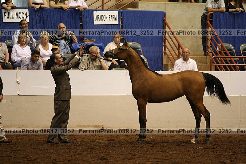 Proof 08r12_3252