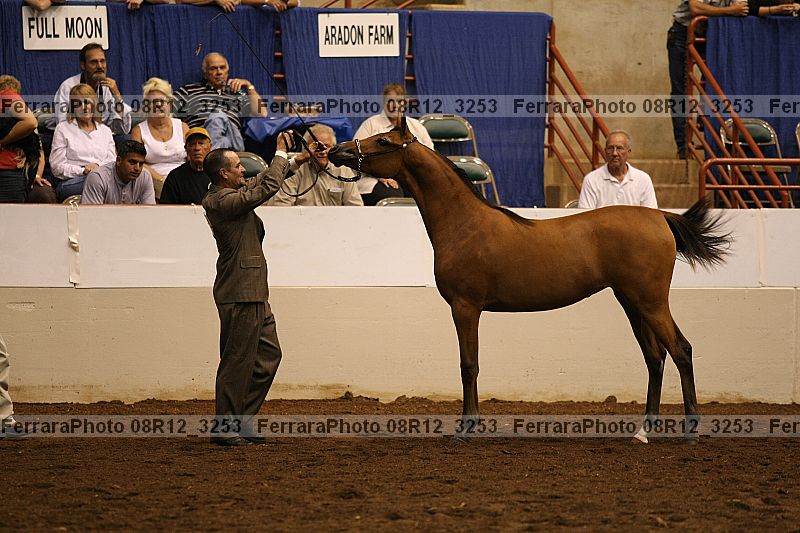 Proof 08r12_3253