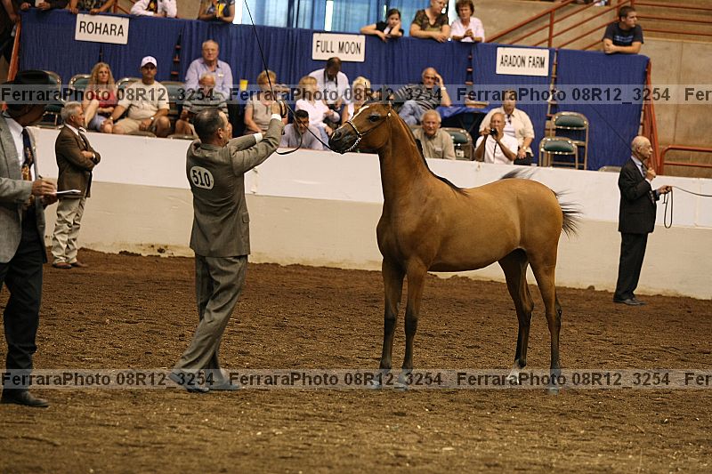 Proof 08r12_3254