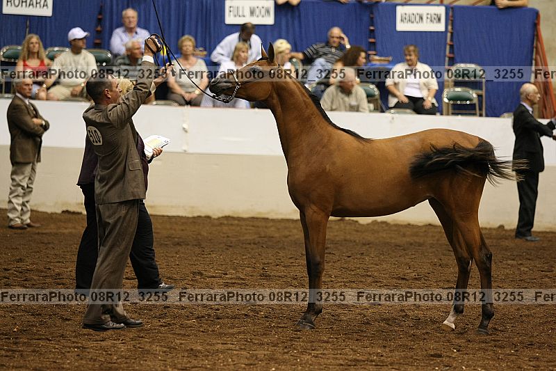 Proof 08r12_3255