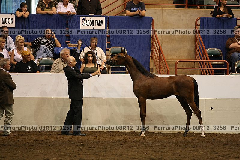 Proof 08r12_3256