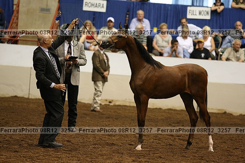 Proof 08r12_3257