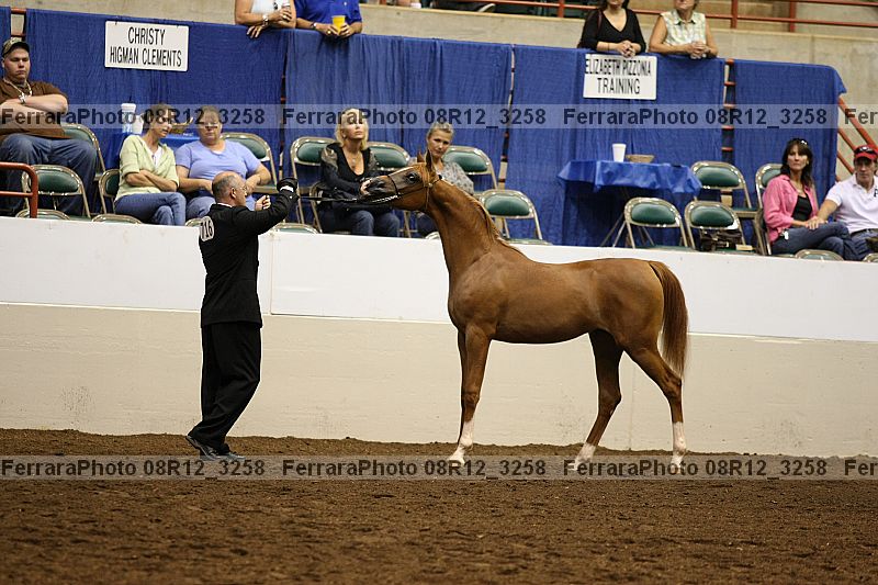 Proof 08r12_3258