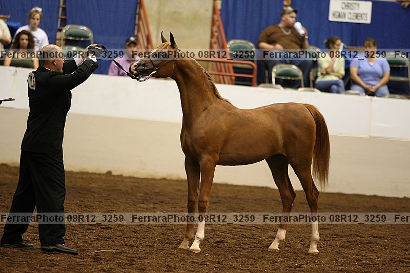 Proof 08r12_3259