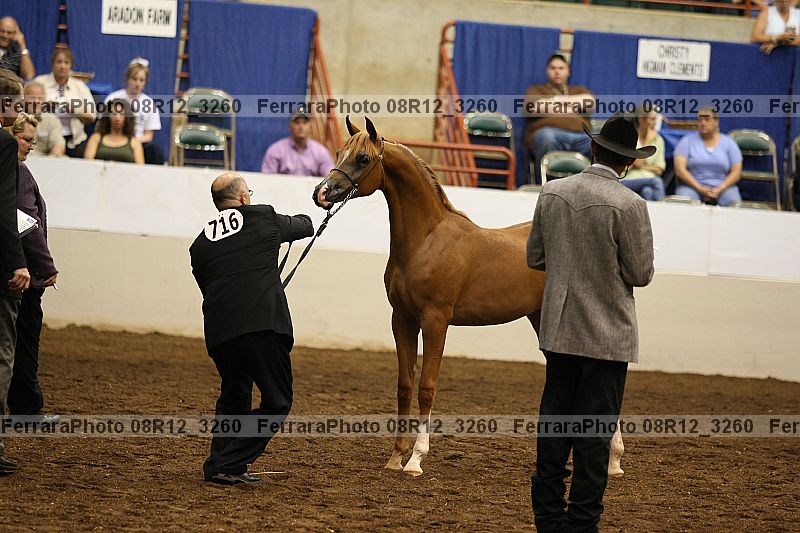 Proof 08r12_3260