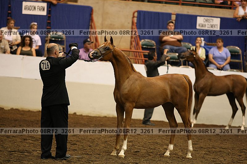 Proof 08r12_3261