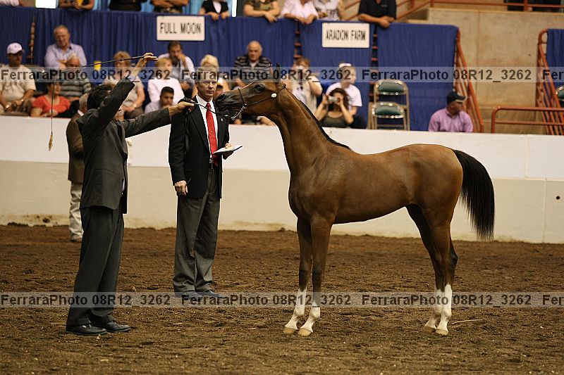 Proof 08r12_3262