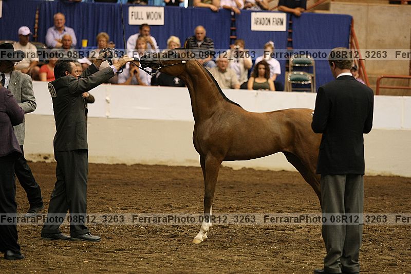 Proof 08r12_3263