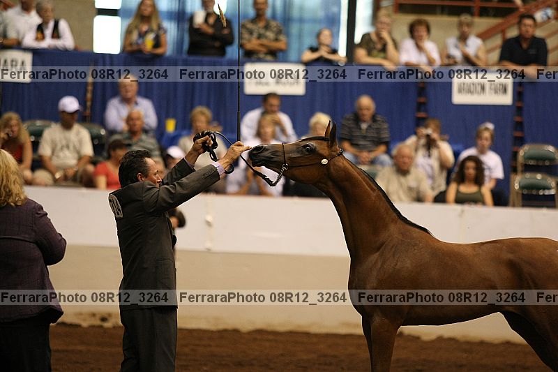 Proof 08r12_3264
