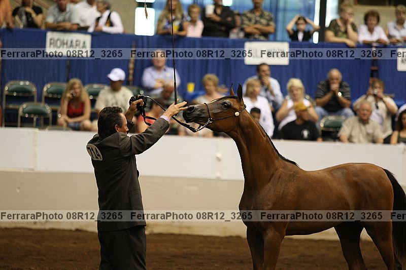 Proof 08r12_3265