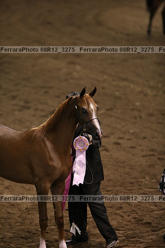Proof 08r12_3275