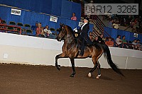 08r12_3285 proof