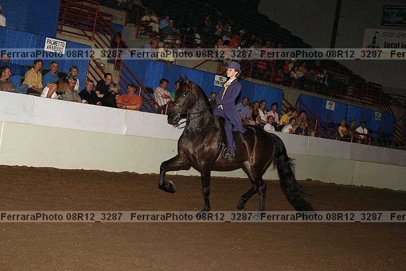 Proof 08r12_3287