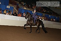 08r12_3287 proof