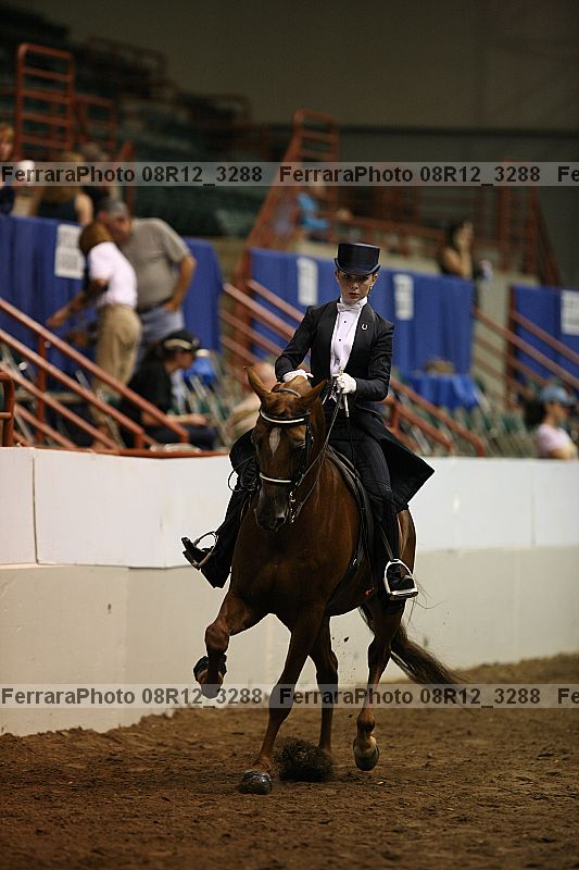 Proof 08r12_3288