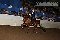 08r12_3292 proof