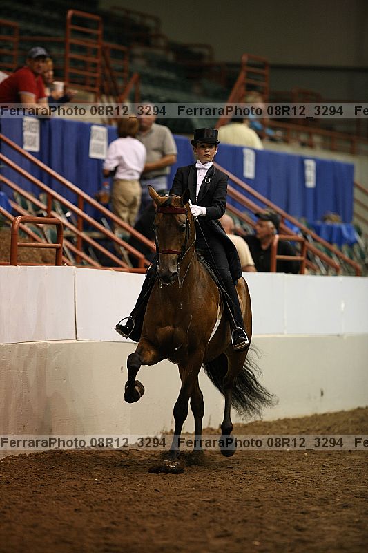 Proof 08r12_3294