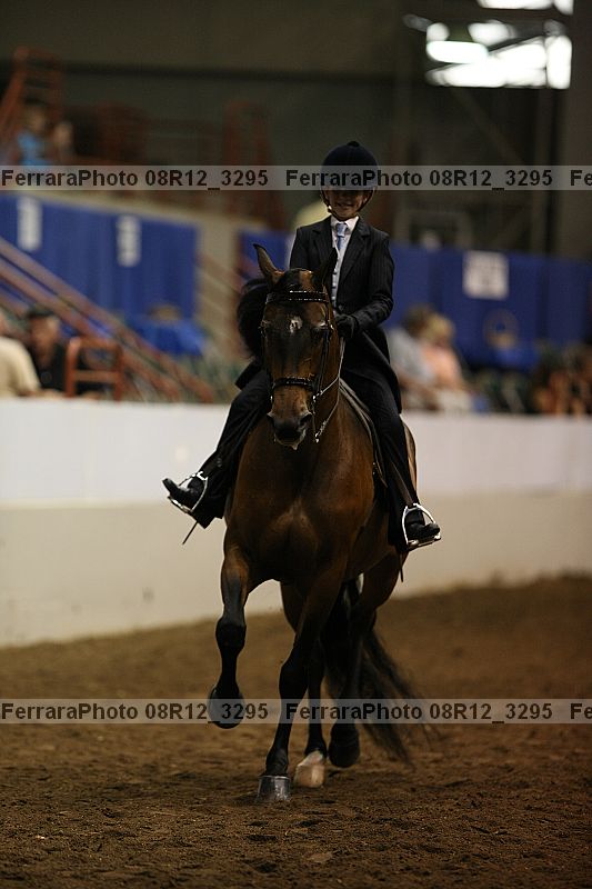 Proof 08r12_3295