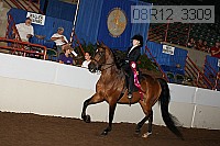 08r12_3309 proof