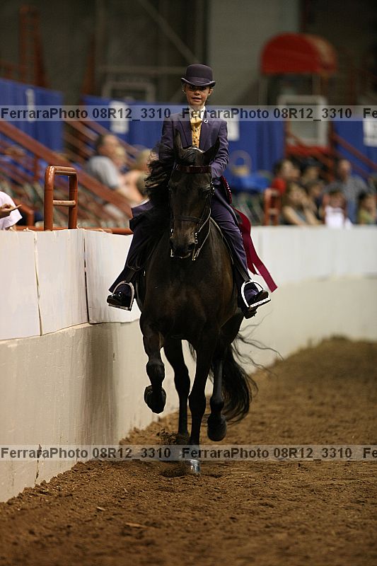 Proof 08r12_3310