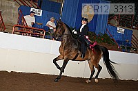08r12_3313 proof