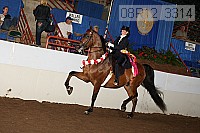 08r12_3314 proof