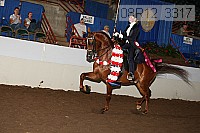 08r12_3317 proof