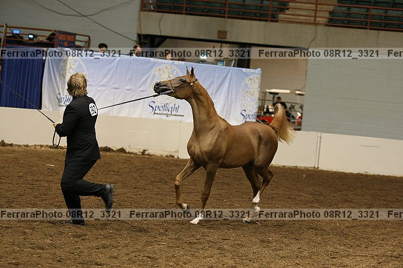 Proof 08r12_3321