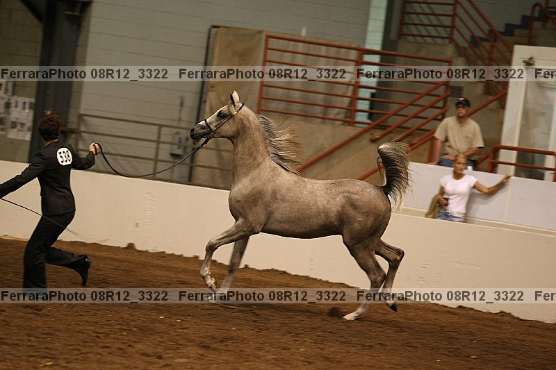 Proof 08r12_3322