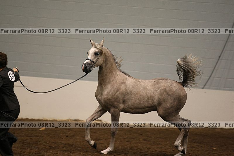 Proof 08r12_3323