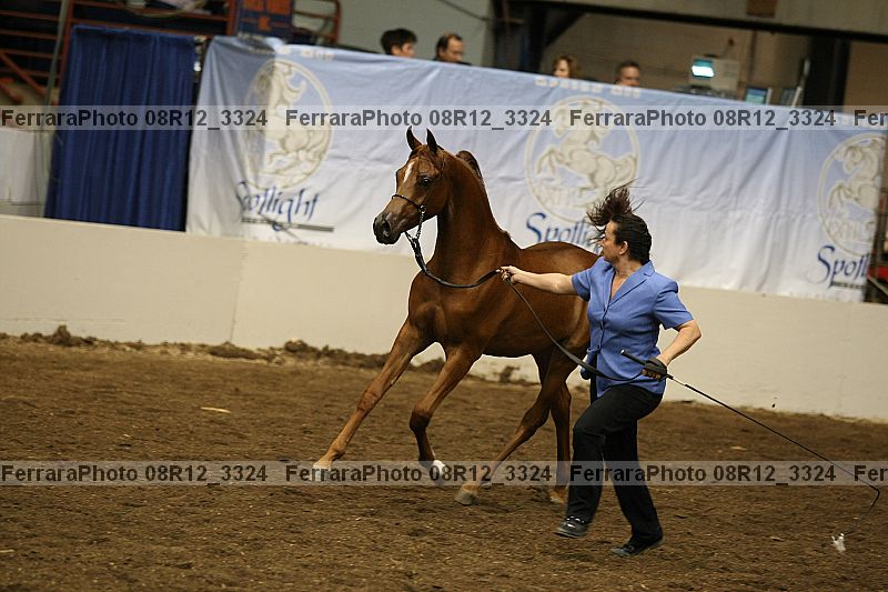 Proof 08r12_3324