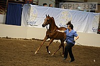 08r12_3324 proof