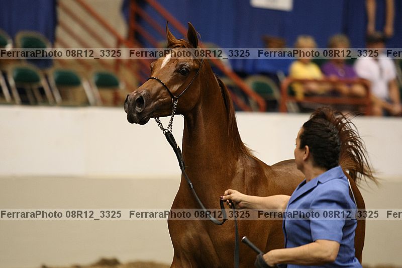 Proof 08r12_3325