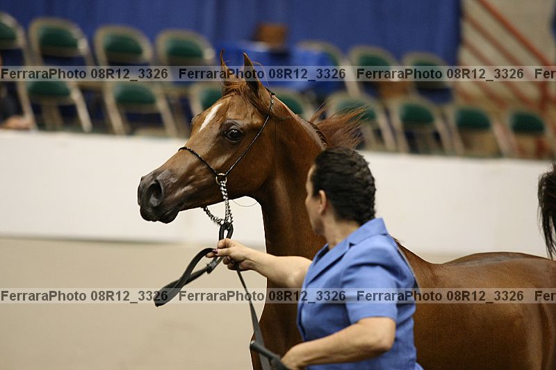 Proof 08r12_3326