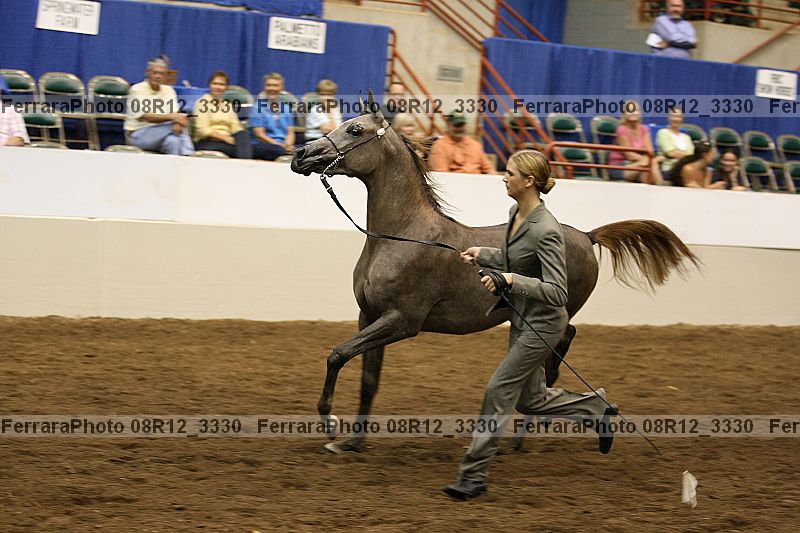 Proof 08r12_3330