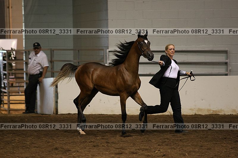 Proof 08r12_3331