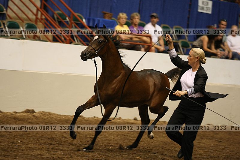 Proof 08r12_3333