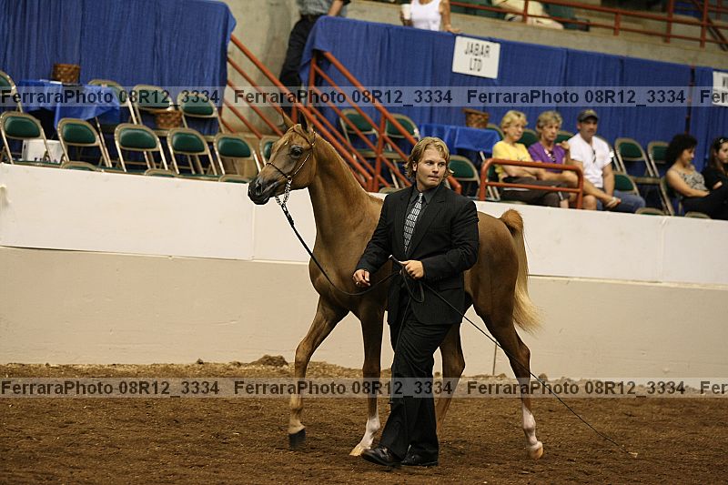Proof 08r12_3334