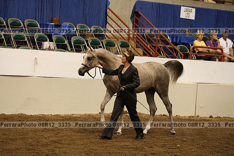 Proof 08r12_3335