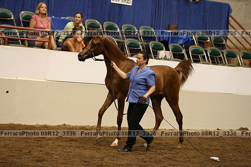 Proof 08r12_3336