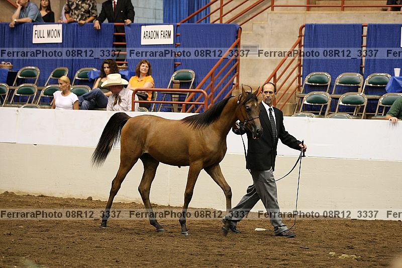 Proof 08r12_3337