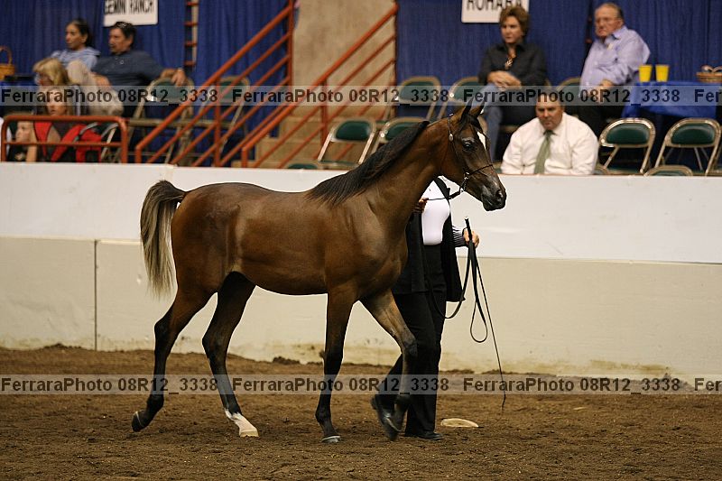 Proof 08r12_3338
